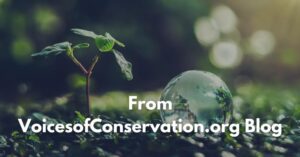 voicesofconservations.org